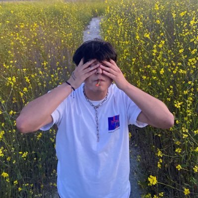 Ch333toss's profile picture. 333