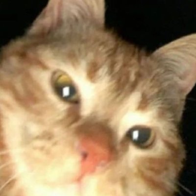 sevarxx's profile picture. twist it all you want, it still just looks the same