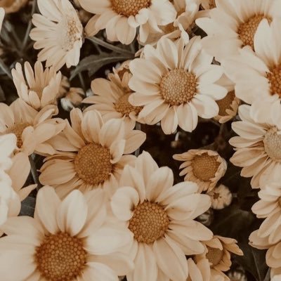 sannerolia's profile picture. 自己开心最重要