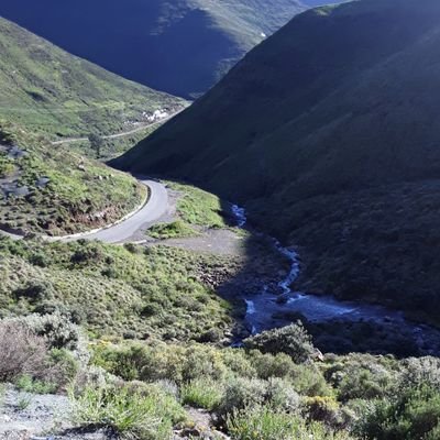 MrSefeane's profile picture. Okay