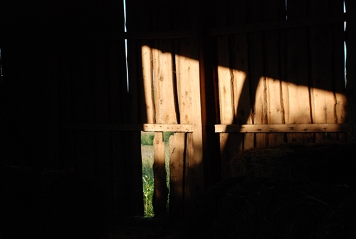 SkunisApvieniba's profile picture. Optimistiski - mistiska teatrāla izrāde, kas neatstāj vienaldzīgus, ne 3.klašu koru dalībniekus, ne Zilgmas tanti, pat ne zvejnieku korporāciju 'Ausmaslēkts'' .