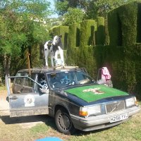 Timothy Downes (@downes_timothy) 's Twitter Profile Photo