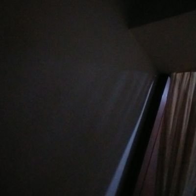 zxzx20040204's profile picture. 