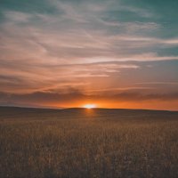 Shania Simmons (@shanias70955480) 's Twitter Profile