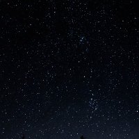 El nórdico (@ema1dav) 's Twitter Profile