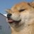 bbubboyaa10's profile image
