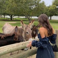 Ashley Coleman (@c00coleman) 's Twitter Profile