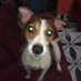 Raimundo (@raimund19913774) Twitter profile photo Raimundo (@raimund19913774) Twitter profile photo
