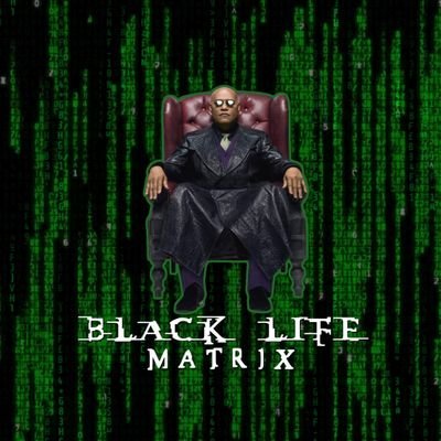 BlackLifeMatrix's profile picture. Standing at the intersection of #Freedmen, #FBA, and #ADOS for the upliftment of all black people.