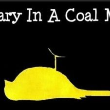 Zentwittee's profile picture. Why so few 👩‍💻in SiliconValley, while 3rd worlders fr Asia couldn't tell a toaster fr a 🖥️dominated the c-suites; or #USPTO's Paul Rodriguez making $200K/yr?