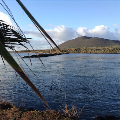 AlejandraAnimo's profile picture. 