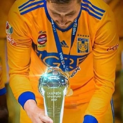 Tigre de corazón Tigre toda la vida 🐯
amante de la comida y de la música