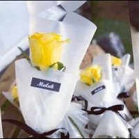 🌟 ملاك 🌟 (@malloka_93) 's Twitter Profile Photo 🌟 ملاك 🌟 (@malloka_93) 's Twitter Profile Photo