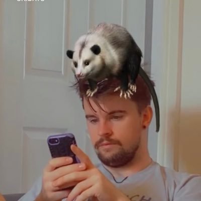 WellThisIsDanny's profile picture. home is where you lay your hammer and sickle