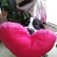Millie Gray (@milliegray121) 's Twitter Profile Photo Millie Gray (@milliegray121) 's Twitter Profile Photo