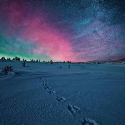 Intuitive_sara's profile picture. Here but not here.