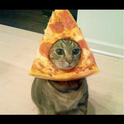 Turcibro's profile picture. @chads_and_dads