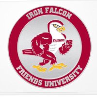 Falcon Strong (@falcon2strong) 's Twitter Profile