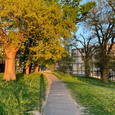 F96_AT's profile picture. 