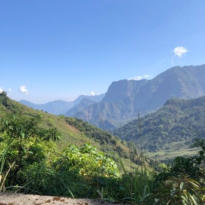 linkworker123's profile picture. Linkworker