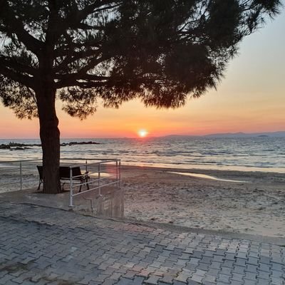 dirtybutslow's profile picture. Deep diving in sewage