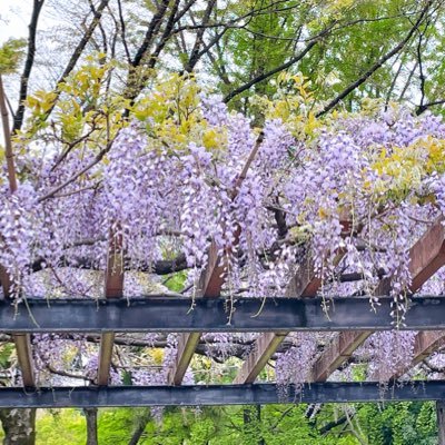 その時思ったことをつぶやきたい。趣味は人形創り、筋トレ、気持ちの文章化。 双極性障害、気分循環性障害、ASD、ADHD、パニック障害と診断され、現在薬物療法にて治療中。