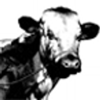 The Cow Pub (@thecowlondon) 's Twitter Profile