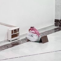 شَهْد (@shdalmutair) 's Twitter Profile