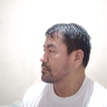 jroLipasanElmer's profile picture. 