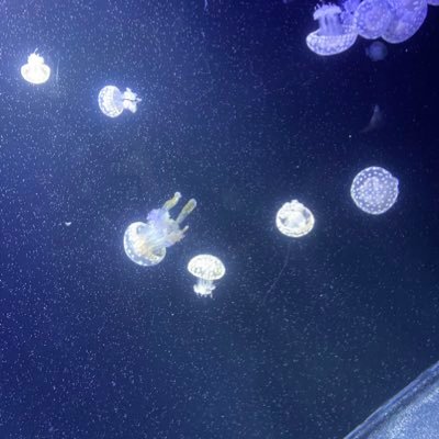 haru_haru__ha's profile picture. 20代/北関東