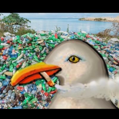 DolphinDick2's profile picture. fuck u