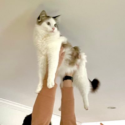 im_mmelting's profile picture. one sec let me get you a coaster