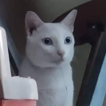 šøš¬š²š¾š¹šš»š³š°ššš°š©šŖšØšæš®š¹šØšš«š·š§šŖš³š±šµš±šØš¼š“ó §ó ¢ó „ó ®ó §ó æš“ó §ó ¢ó ³ó £ó “ó æš®šŖ š©š° pero pinaka love ang šµš