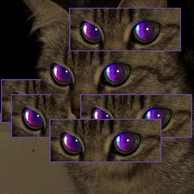 it. ζ. animal lover. i block minors/''age in location'' on sight. i dont send and probably wont respond to unpaid or pornless dms.