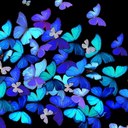 Erin Browning - @butterflyluv513 - Twitter