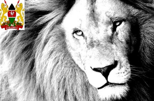 Kenyan4Wildlife's profile picture. We,the people of Kenya,are standing up for our national heritage.We are Kenyans,For Wildlife.Pamoja Kwa Kenya,Pamoja,Kwa wanyama wetu!