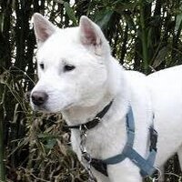 真崎　直人 (@sn_1010) Twitter profile photo