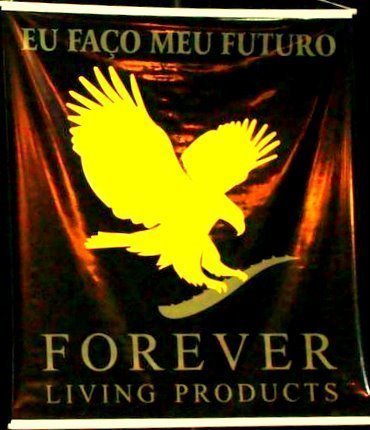 FOREVERFRIBURGO's profile picture. SOU ATUALMENTE SUPERVISORA DA MULTINACIONAL DE MARKETING MULTINIVEL FOREVER LIVING PRODUTS, ATUANDO NA COMERCIALIZAÇÃO DE PRODUTOS DE SAÚDE, BELEZA E BEM ESTAR.