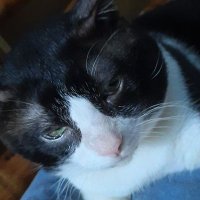Mer (@mrdthsam) 's Twitter Profile