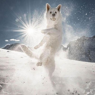 altubers's profile picture. 