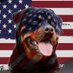 SouthSideRottieMom (@babam117) Twitter profile photo SouthSideRottieMom (@babam117) Twitter profile photo