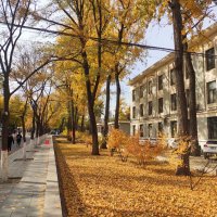 Ammar (@amaaar9990) 's Twitter Profile