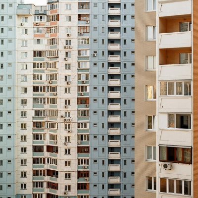 moboforo's profile picture. Batty