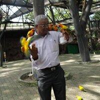 Ashok Kulkarni 🇮🇳 (@ashokhkulkarni) 's Twitter Profile
