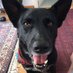 Claire Lawrence (@clairel62760064) Twitter profile photo Claire Lawrence (@clairel62760064) Twitter profile photo
