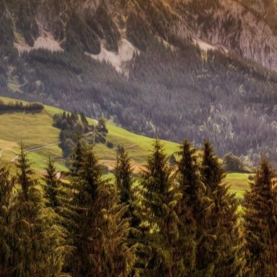 muzi1810's profile picture. Nothing special