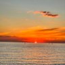 zane_andrews1's profile picture. neuroscientist at Monash University. studies brain control of appetite, stress, motivation. driving question: how does food or lack of food affect the brain.