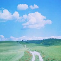 Henry Gates(💙,🧡) (@henryga34988849) 's Twitter Profile