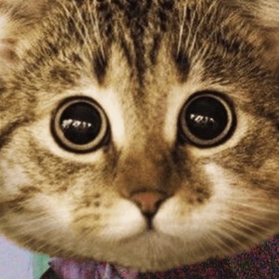 ぽってっとぉ教祖さんのプロフィール画像