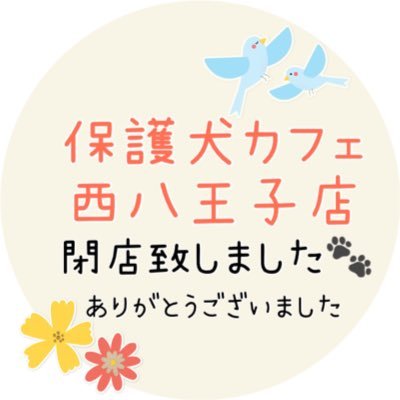 2022/5/9をもちまして閉店致しました。たくさんのご支援、ご協力をありがとうございました❤️お問い合わせは保護犬カフェ立川店(042-519-3452)まで🐾 様々な理由で家族のない犬猫達が新しい家族と出会うための場所⋈♡*｡ﾟ